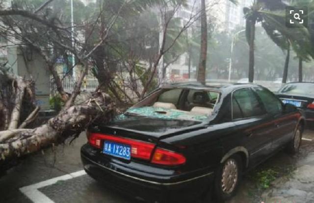台风又要来了，汽车因为台风受损，保险公司会理赔吗？